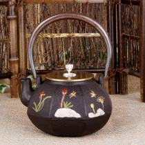 Japanese iron pot Southern Japan health-keeping old iron pot Cooking teapot Kettle Uncoated teapot Imported pig iron pot