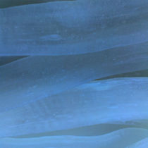 Fushun spicy mixed with main material wide powder tendons delicious spicy spicy mixed with 100 grams