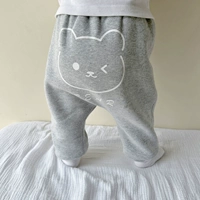 Серый маленький северный нос с бархатными брюками