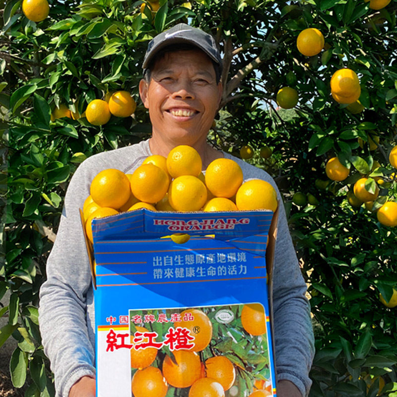 贵叔橙园红江橙直销店