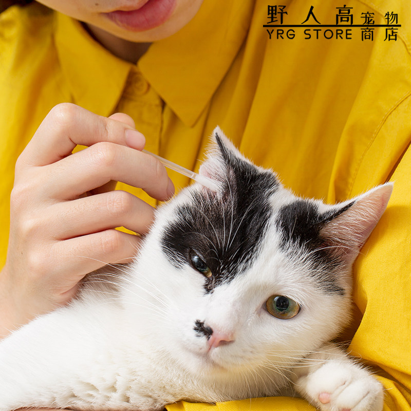 Wild Man High Pet Store Kojima Essential Oil Cotton Stick Pet Ear Clean Stick 40 Cat Dog Drop Ear Fluid