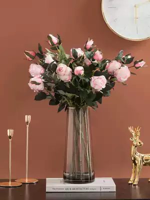 Light luxury style gold-painted glass vase creative decoration Nordic living room dining room desktop flower arrangement dry flower decoration decoration