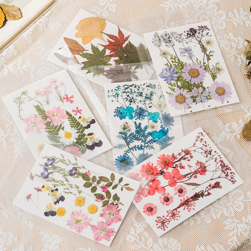 Creative Handmade DIY Dry Flower Bag Botanical specimen embossed paste picture photo-frame Write true embossed appliation Decorative Dry Flower Makeup-Taobao