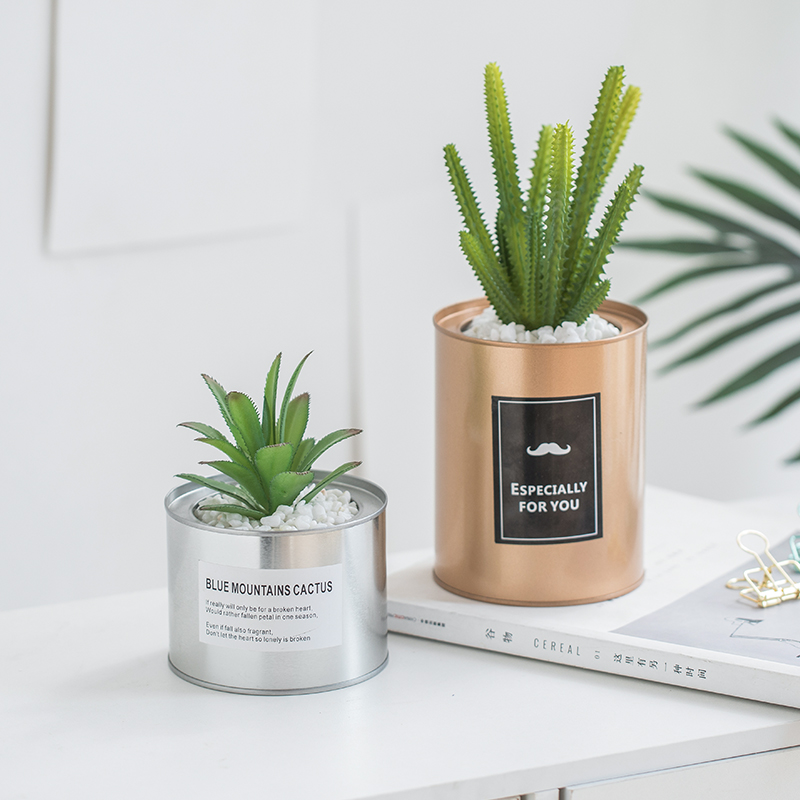 Simulation Plant Potted Plant Furnishing Living-room Decoration Pendulum piece Creative Desktop ins Wind cactus Multi-meat Candido Bonsai