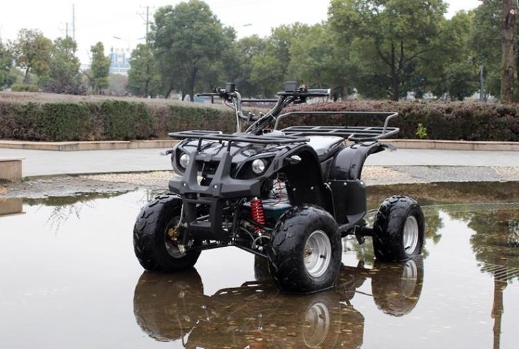 Xe máy điện bốn bánh hoàn toàn mới 1000W Xe mô tô địa hình Bulls bốn bánh xe điện ATV moto mini 110cc