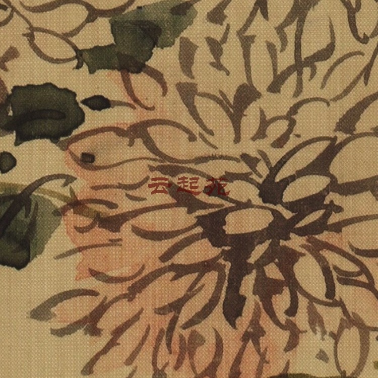 Z HD electronic image 398M decorative promotional material of Qingpu Qingyi Z