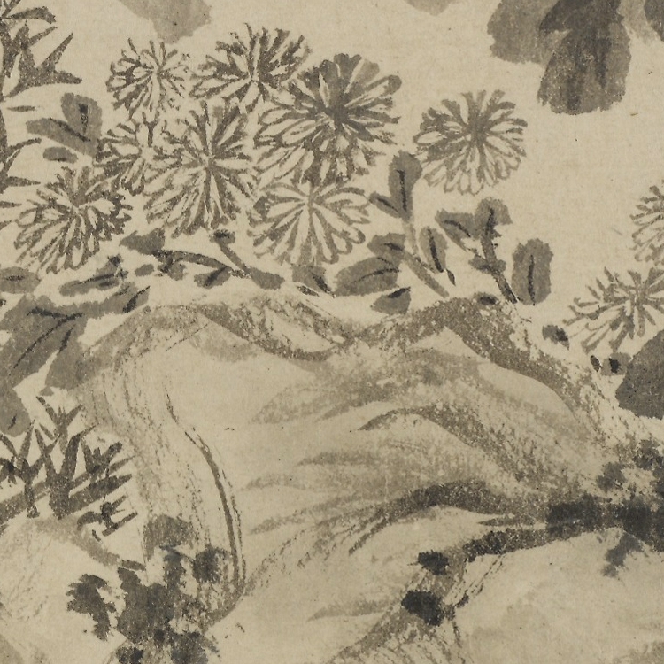 Plaintext Zheng Mingju Chrysanthemum Sushi Photos J High Definition Electronic Pictures 268M Decorative Propaganda Material