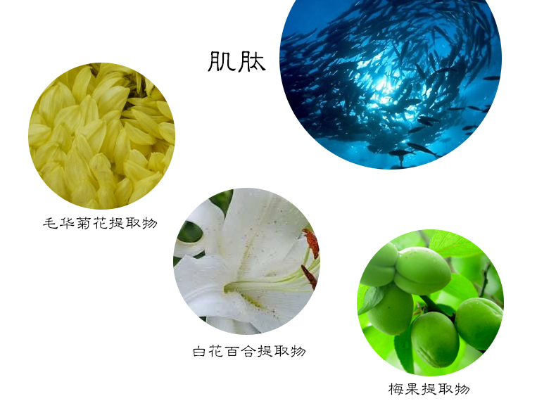 An An Jin trang web chính thức tinh khiết mặt nạ nữ hydrating làm sáng màu da thu nhỏ lỗ chân lông axit hyaluronic sinh viên peptide - Mặt nạ mặt nạ 24k