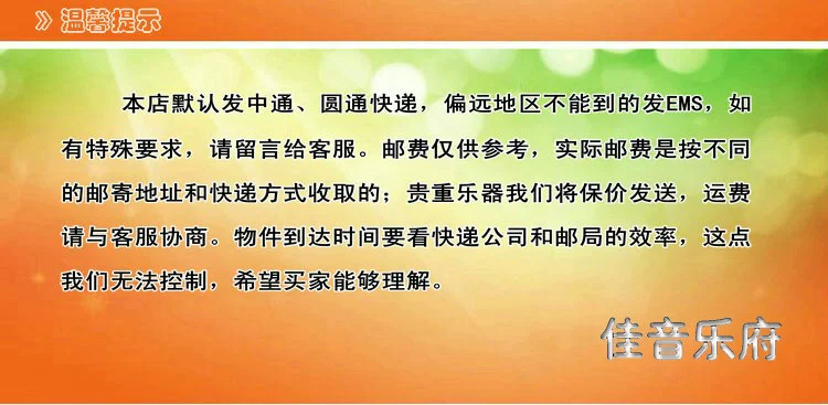 Allegro Nhạc cụ Quốc gia Fine Allegro Tre Chuyên biệt Trẻ em Ban thực hành Allegro Phụ kiện đặc biệt - Nhạc cụ dân tộc sáo điện tử ewi