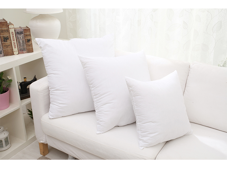 Khách sạn giường gối đệm gối Gối Gối giữ 45.455.050 nhung vuông lông gối - Trở lại đệm / Bolsters gối ôm kèm chăn