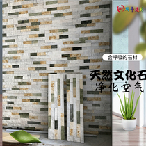 Nordic natural cultural fossil antique brick TV background wall porch living room villa exterior wall cultural brick Jasper Rock