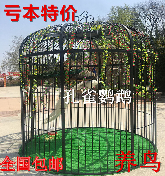 Wrought iron oversized peacock decorated bird cage outdoor park large parrot tiger skin pug pigeon plus net bird cage