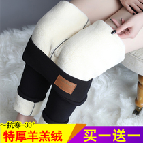 Lamb suede integrated cotton pants ultra-thick and velvety with underpants woman high waist and large size for autumn and winter tight and warm pants outside