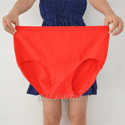 Slip en coton - Ref 646742 Image 6