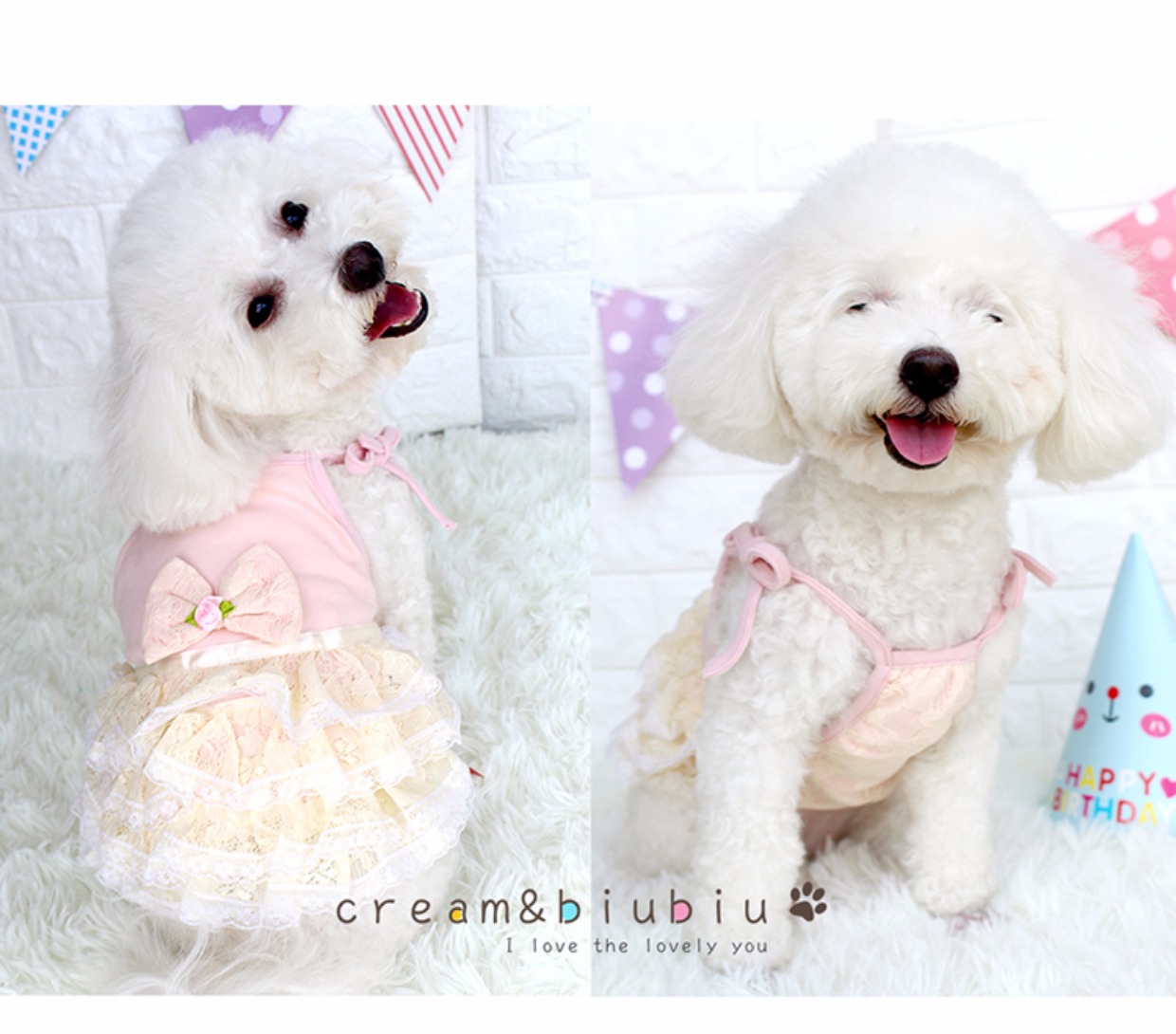 Pet mèo dog quần áo mùa thu và mùa đông được trang trí với dây đeo bánh fluffy ren váy dễ thương dễ thương gấu bông - Quần áo & phụ kiện thú cưng quần áo cho chó con