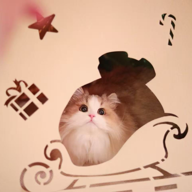 C-Queen/Miamia Christmas Pet Multifunctional Play Mat Felt Cat Tunnel Cat Toy Cat Tent Cat Nest