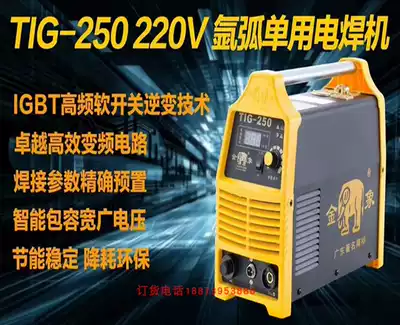 Golden elephant electric welding machine TIG250 300 stainless steel argon arc welding machine single dual-use small household electric welding machine 220V