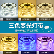 LED three-color dimming colorful decorative lights with high brightness outdoor waterproof living room bedroom ceiling light strip send plug