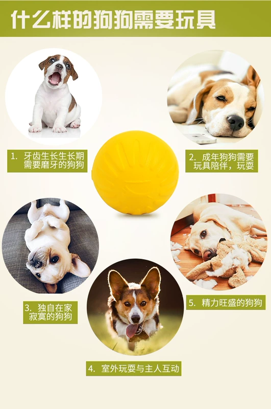 Sing Kee Dog Ball Toy Ball Bite Resistance Training Interstellar Large Dog Relief Bouncing Ball Edge Shepherd Pet Products - Mèo / Chó Đồ chơi