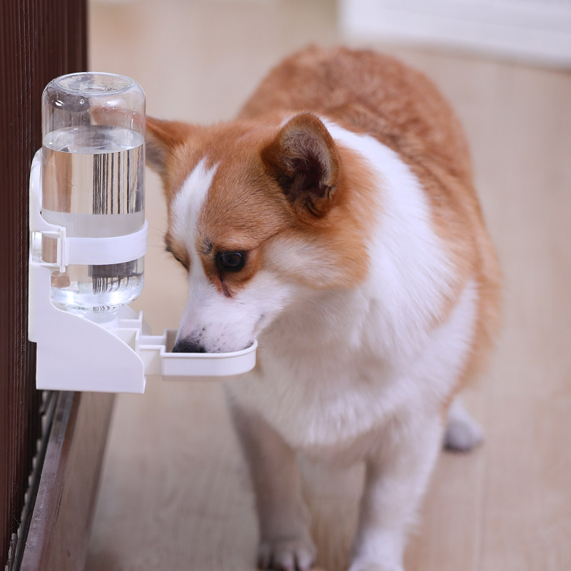 Kitty Water Dispenser Flow Unplugged Electric Dog Suspended Drinking Water Instrumental Pet Feeding Water Theorizer Cage Hanging Kettle