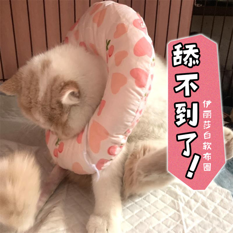 Elizabeth Circle Soft Pet Cat Microphone Sleeve Anti Licking Dog Shame Neckline Ilisha White Collar Neuter