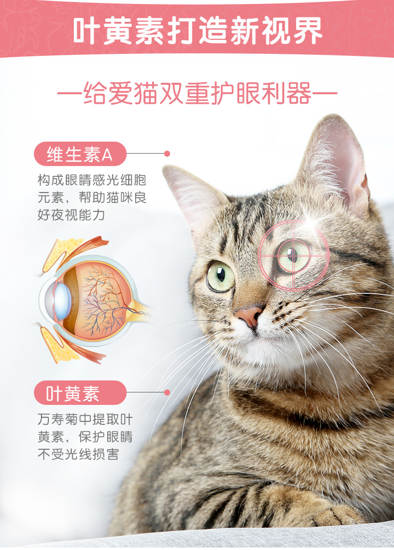 Med in-kat taurine vigor tablet mèo tim mèo và gan não tăng cường khả năng miễn dịch để tăng cường sức khỏe của mèo c - Cat / Dog Health bổ sung 	sữa cho mèo con 1 tháng tuổi
