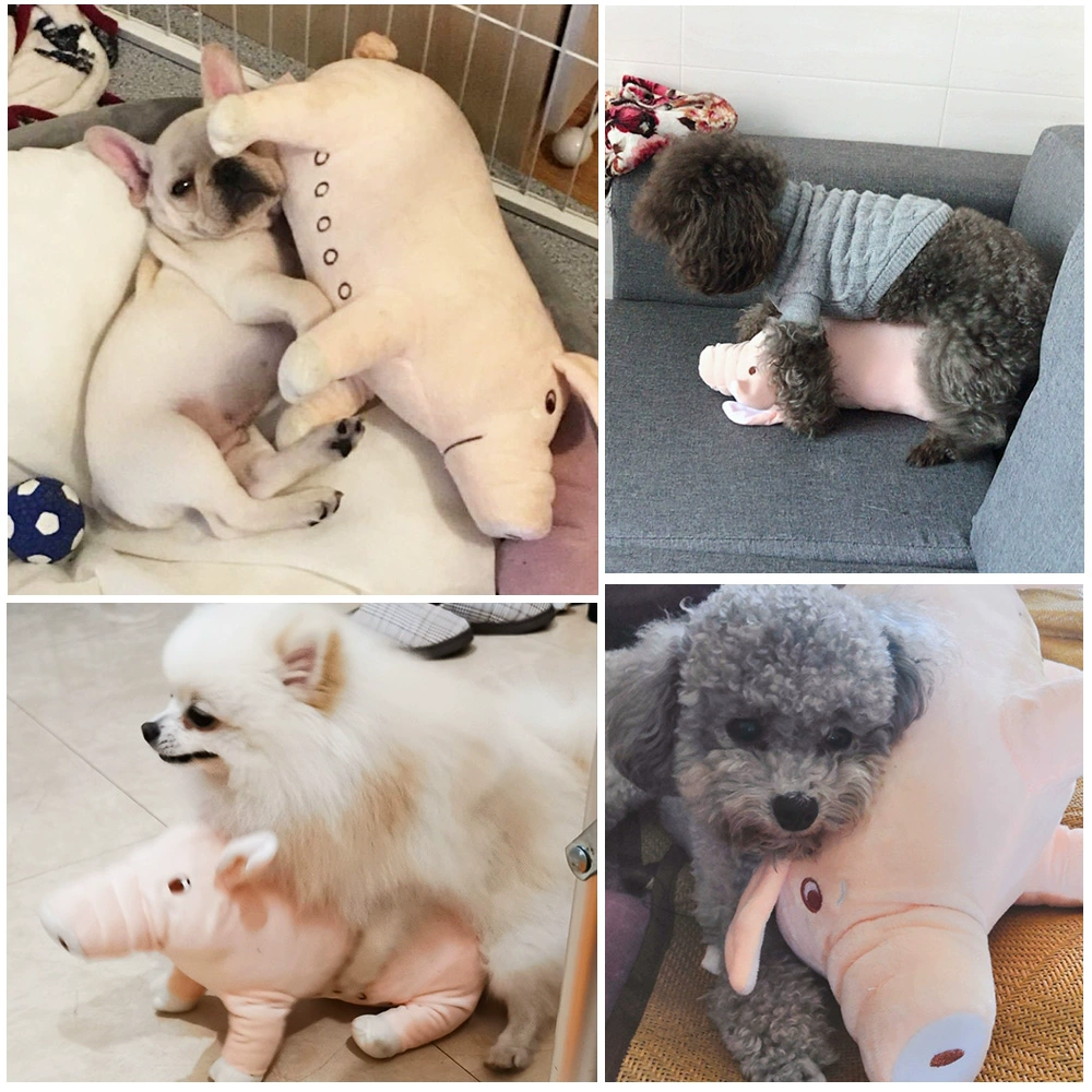 Dogs vent đồ chơi chó đực Phương pháp Teddy chó con vật nuôi chó lớn vết cắn răng hàm kháng động dục sang trọng nguồn cung cấp - Mèo / Chó Đồ chơi