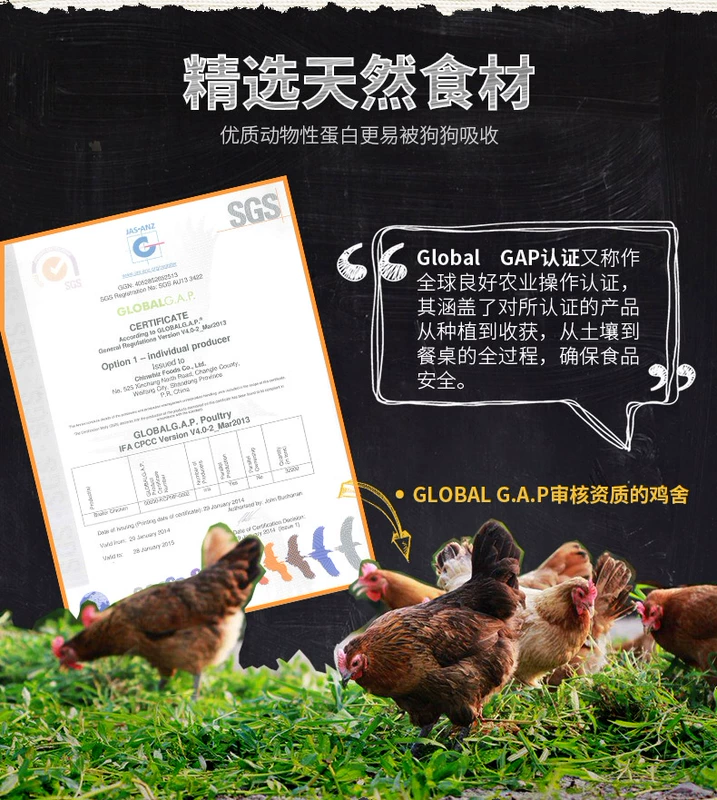 Mai Fudi Chicken Meat Roller Cleansing Răng Stick Samoyed Bomei Poodle Pet Huấn luyện chó ăn vặt - Đồ ăn vặt cho chó