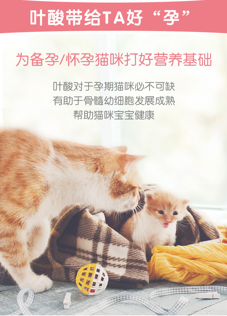 Mèo Med in-kat với viên vitamin dinh dưỡng b chăm sóc da làm đẹp tăng trưởng lông thú cưng mèo sản phẩm dinh dưỡng sức khỏe c - Cat / Dog Health bổ sung bio milk cho mèo