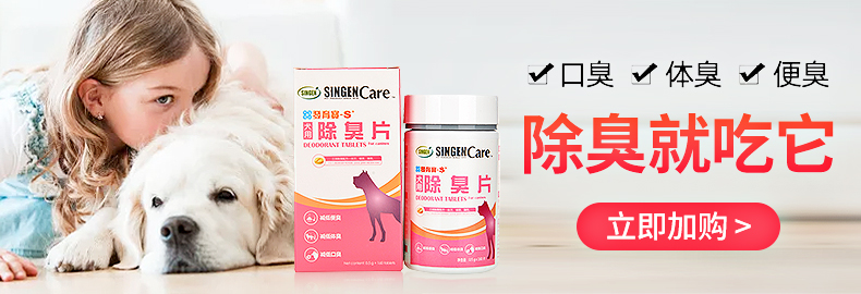 Thú cưng nhỏ, dạ dày, men vi sinh, 5 gói, chó, mèo, vật nuôi thông thường, chó, mèo, điều hòa đặc biệt, tiêu hóa dạ dày, tiêu hóa - Cat / Dog Health bổ sung sữa mèo
