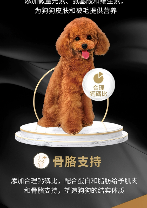 Birigid Teddy VIP Thức ăn cho chó dành cho người lớn 12kg Thức ăn cho chó Bixiong Bomei Schnauzer Thức ăn cho chó Thức ăn cho chó - Chó Staples