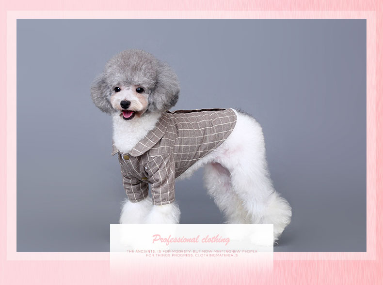 Quần áo cho chó quần áo mùa thu và mùa đông Teddy Bomei chú chó nhỏ quần áo thú cưng mỏng con chó con cộng với quần áo nhung dày hai chân - Quần áo & phụ kiện thú cưng áo chó con