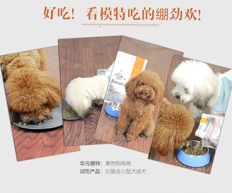 Thức ăn cho chó Bierji chó nhỏ dành cho người lớn thức ăn cho chó 1,5kg Teddy VIP Chihuahua chiến đấu với Bago hơn thức ăn chung của gấu - Chó Staples đồ ăn chó