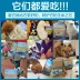 Bernardian Pure Dog Dog Food 10kg Teddy Bear Xiong Bomei Universal Dog Food Pet Dog Thức ăn chính