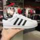 Giày nữ Adidas clover 2019 mùa hè mới SUPERSTAR vỏ sò giày thông thường EF1480 - Dép / giày thường