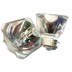 HFHC ban đầu Panasonic PT-BX430C BX431C LAV300C bóng đèn máy chiếu bóng đèn bài miễn phí - Phụ kiện máy chiếu màn chiếu điện 100 inch Phụ kiện máy chiếu