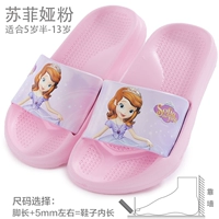 София Порошок