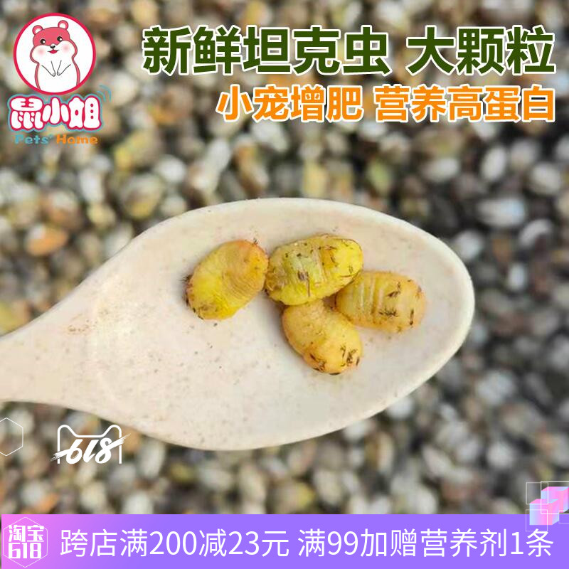 Tank Worm Ocean Spicy popsicles Yang pull tank Nutrition Long Fat Mahoney Bags Hedgehog Hamster Hamster Flowers and Squirrel
