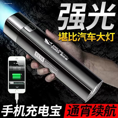 Универсальный портативный супер яркий маленький прочный фонарь