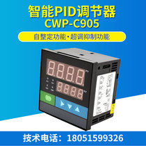 Shanghai Will Too CWP-C905 Temperature Pressure Liquid Level PID Regulator PID Control Output Simulation Volume Signal