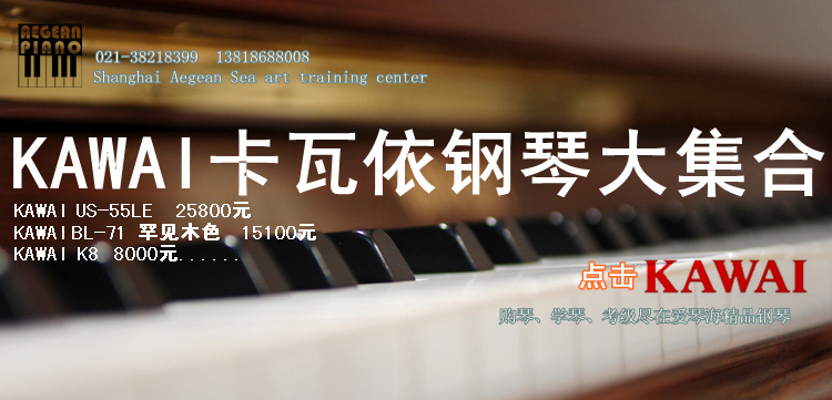 Cho thuê đàn piano Yamaha kawai Hàn Quốc Trong nước và grand piano Thông số kỹ thuật chuyên nghiệp hợp lý và nhanh chóng đặc biệt đàn piano trắng
