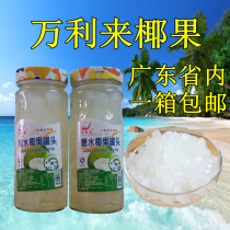 ten thousand li to coconut fruit high fiber honey coconut fruit 388g coconut fruit meats caramelia raw material sweet raw material