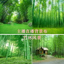 New shake sound fast hand anchor live background cloth to shoot joke video Bamboo forest scenery spring flowers and plants 3D stereo photo