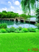 Fast hand shaking anchor live shooting joke video background cloth spring flowers and plants park landscape hanging cloth 3D three-dimensional
