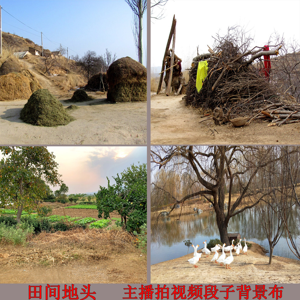 Shake sound fast hand net Red Anchor Live broadcast video segment background cloth rural landscape field weeds