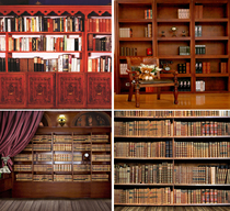 New fast hand shaking anchor shot joke video live background cloth Study bookshelf Studio 3D stereo