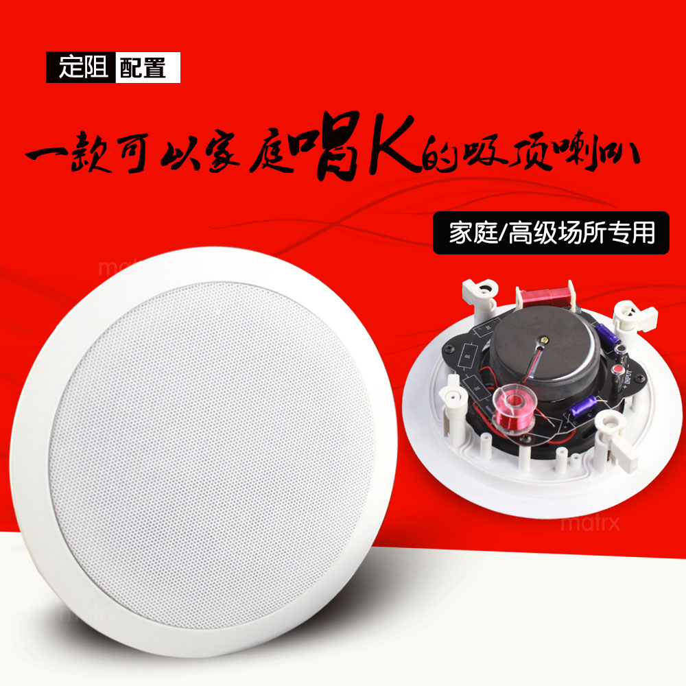 Home theater coaxial fixed resistance ceiling independent high and low frequency crossover ceiling horn MATRX-MS-916