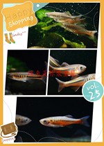 Homemade Danfish Half Line Dan Roses Nice Native Grass Vat Group Tours Fish Cold Water Small Fish