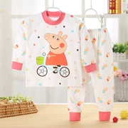 Bộ đồ lót trẻ em bằng cotton cho bé bộ 2 cotton 3 quần dài tay 5 quần áo mùa thu 4 bộ hai mảnh 1 đến 8 tuổi quần áo trẻ em