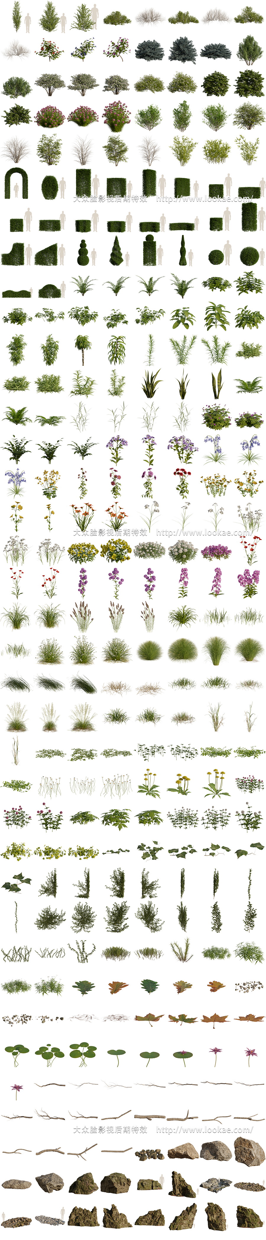 Blender插件-植物花草树木自然环境资产预设库 Arborea v1.03 Pro 含使用教程-LookAE.com Blender插件-植物花草树木自然环境资产预设库 Arborea v1.03 Pro 含使用教程